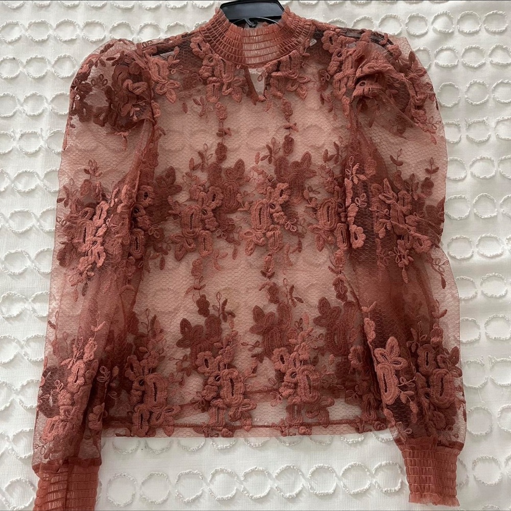Elegant Lace Brown Top